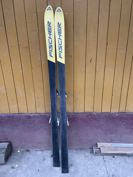 Schiuri FIscher , de competitie