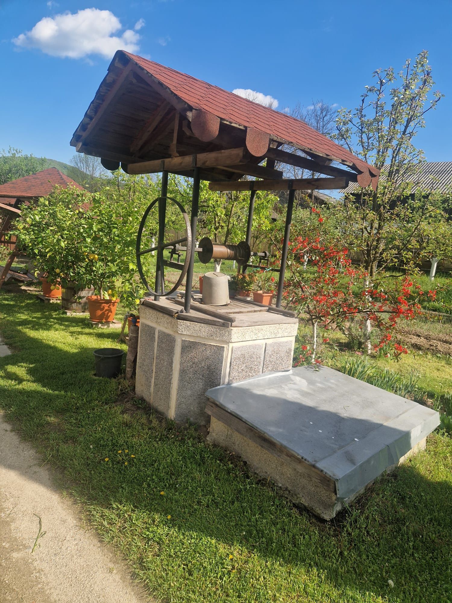 Foraje puțuri apă