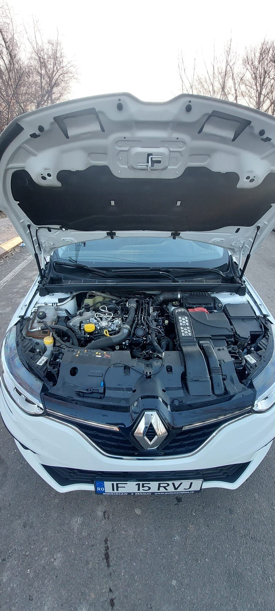 titlu: Renault Megane 2022 Life/ Primul proprietar/ 14300km