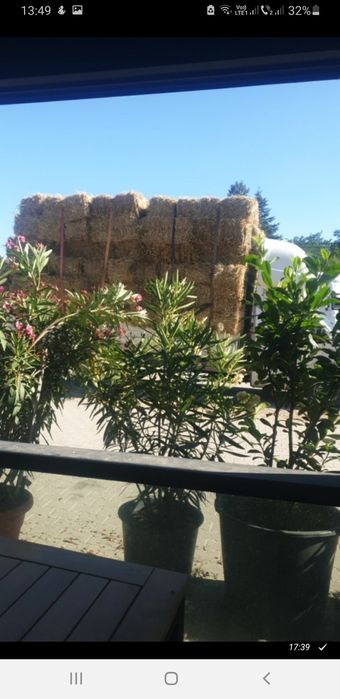 Aduc baloti de fan,lucerna,etc