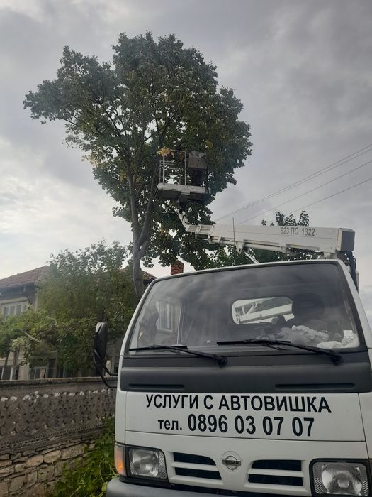 Рязане и кастрене на опасни дървета