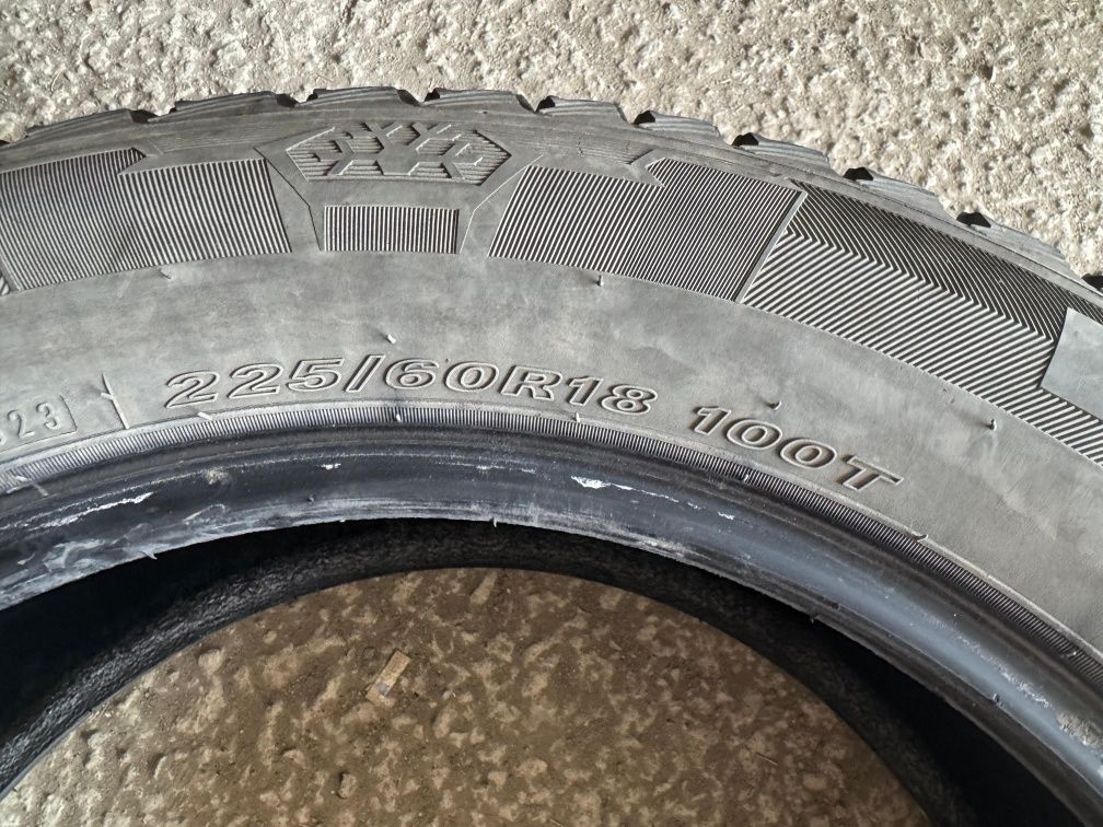 Nexen Windguard 225/60/R18 шины