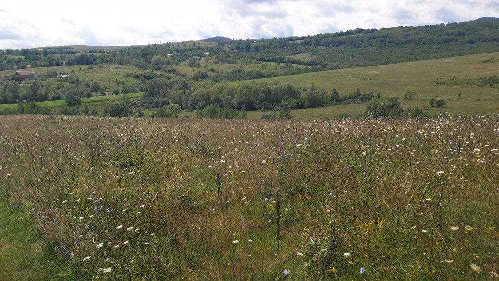 PF vand teren SALICEA, IARA extravilan,parcele de 3-500la5000mp CABANA