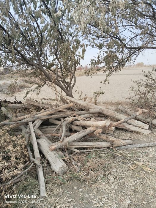 Утин тараша учун