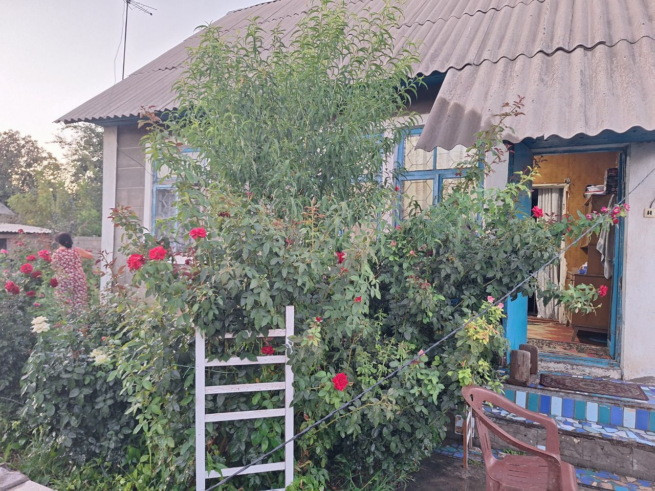 Arzon xovli sotiladi