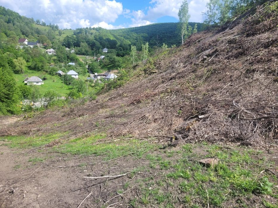 Vand teren în Cavnic