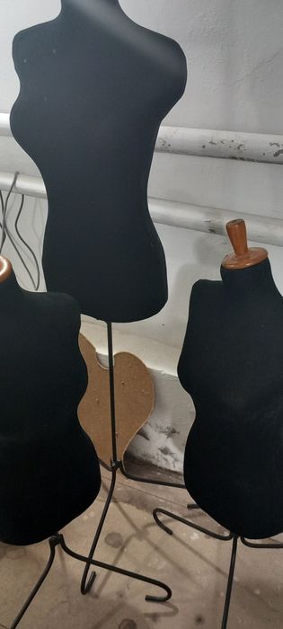 Maniken arenda. Аренда маникенов.