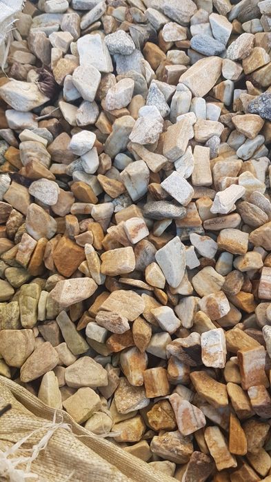 Pietris decorativ-Plante ornamentale