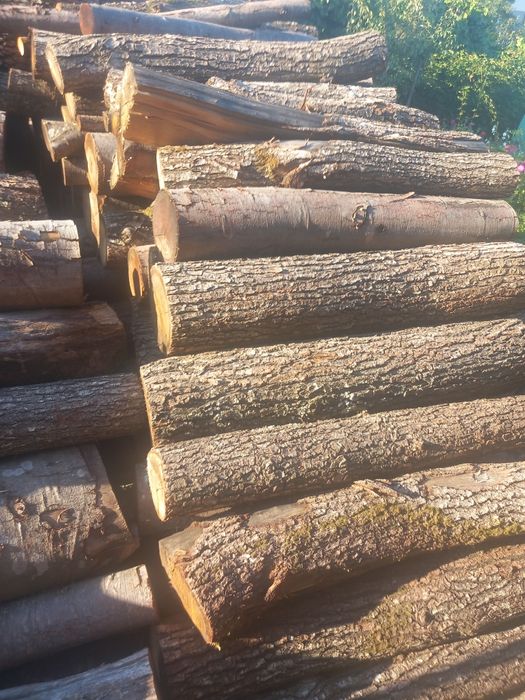 Lemne esență  tare