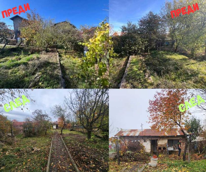 Почистване на Дворове и Зелени Площи / Поддръжка