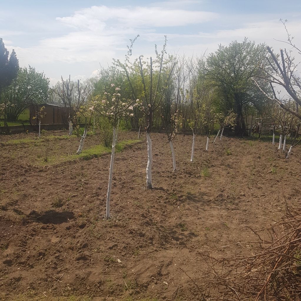 Продава се Къща в Дупница - 172 кв.м за 472 €/кв.м - Снимка #2