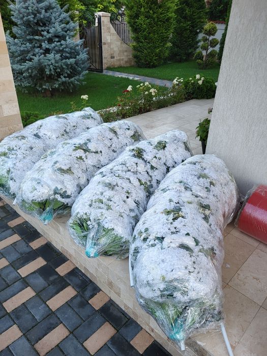 Arcada florala pentru nunta/ Arcada flori/Arcada Evenimente