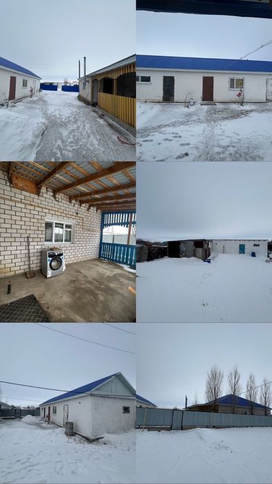 Уй сатылады Сарыжар ауылынан