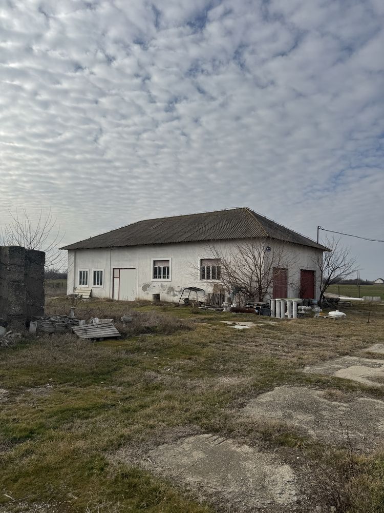 De inchirat hale ,beharca/cotofeni