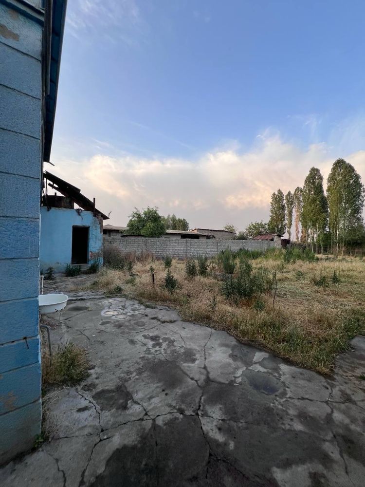 Орта чирчик Навруз Махалля