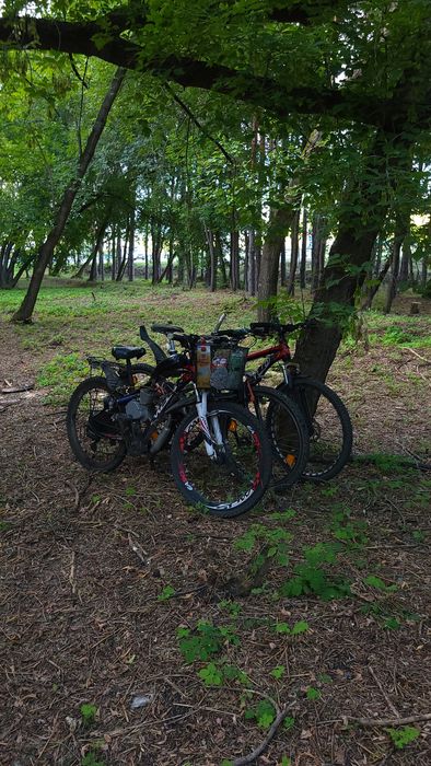 Ремонт велосипедов любого типа