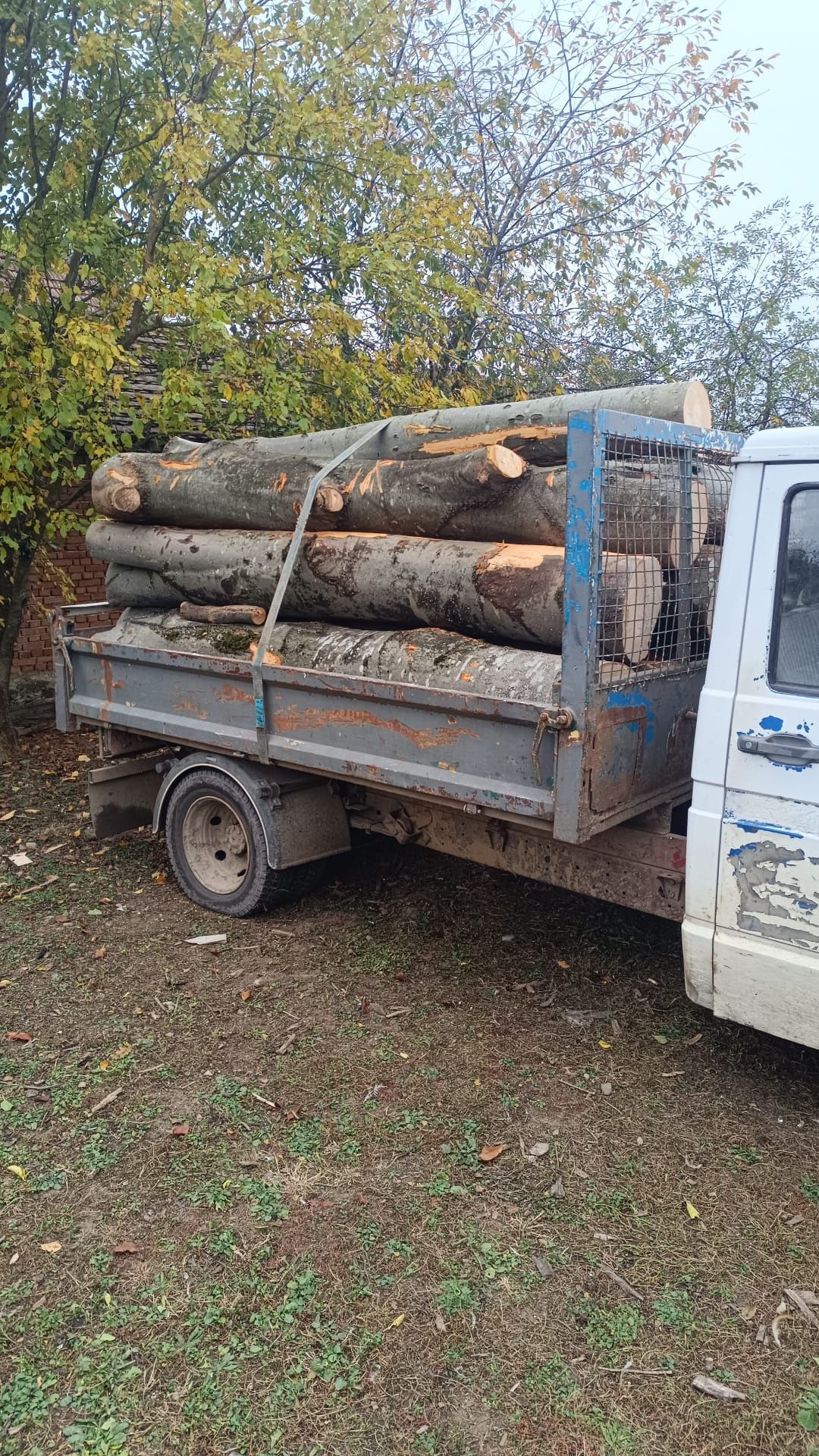 Vindem, transportăm, tăiem și despicăm lemn de foc.