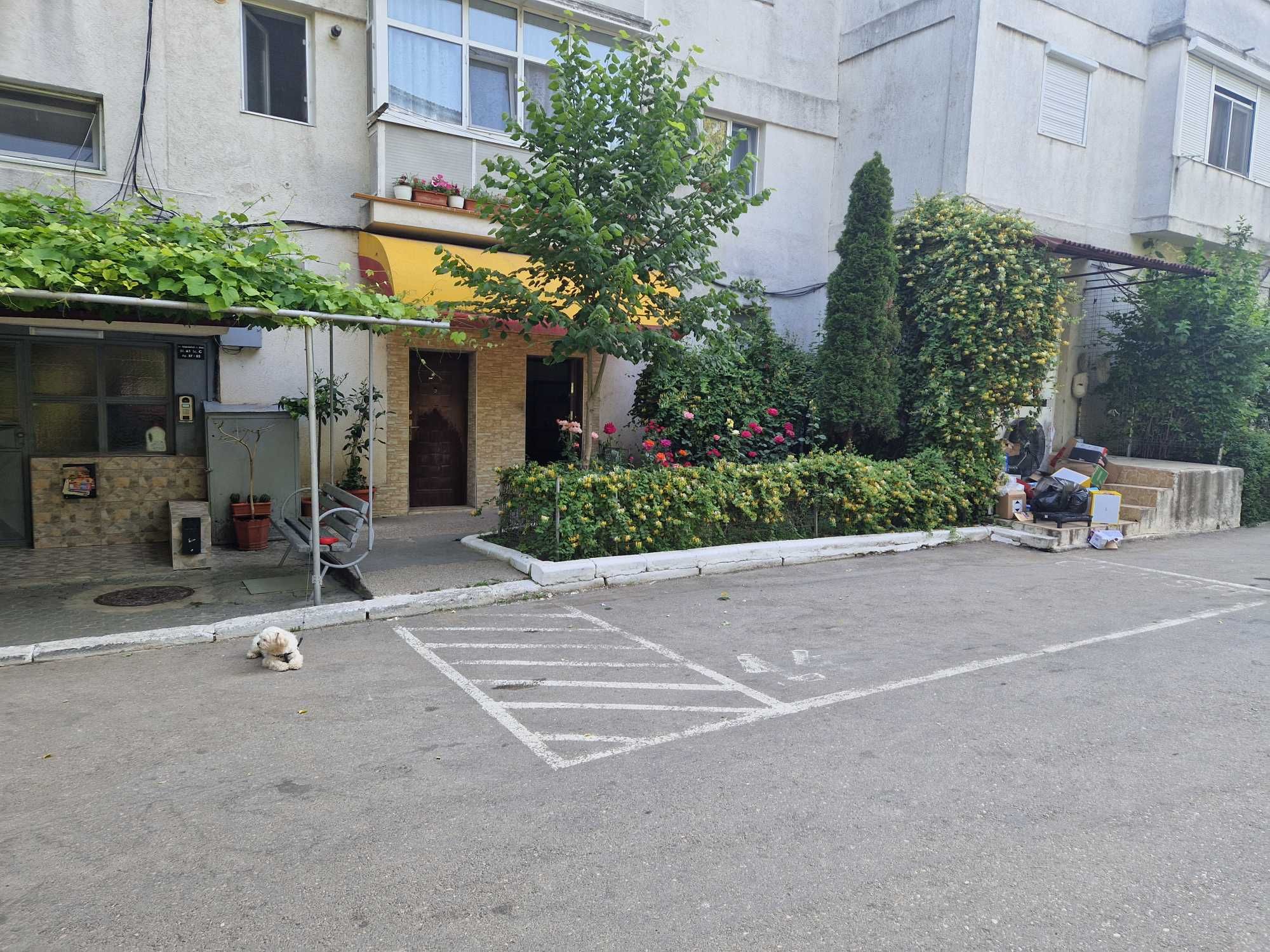 Spatiu comercial de inchiriat in Medgidia Str Republicii 50 m2