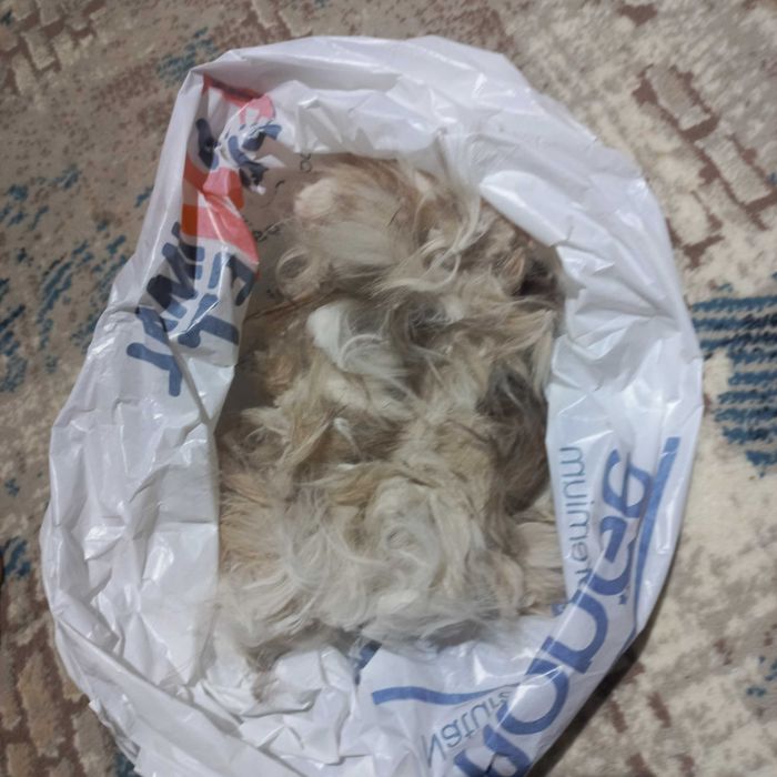Шерсть кошачья на продажу