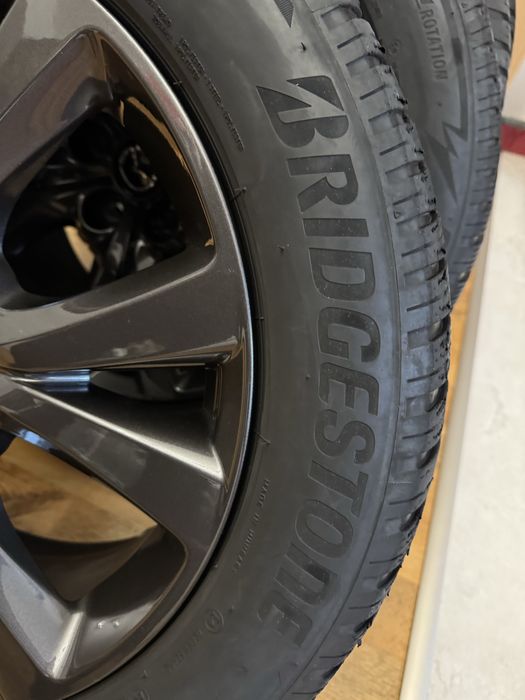 Roti Iarna, Jante Aliaj R18