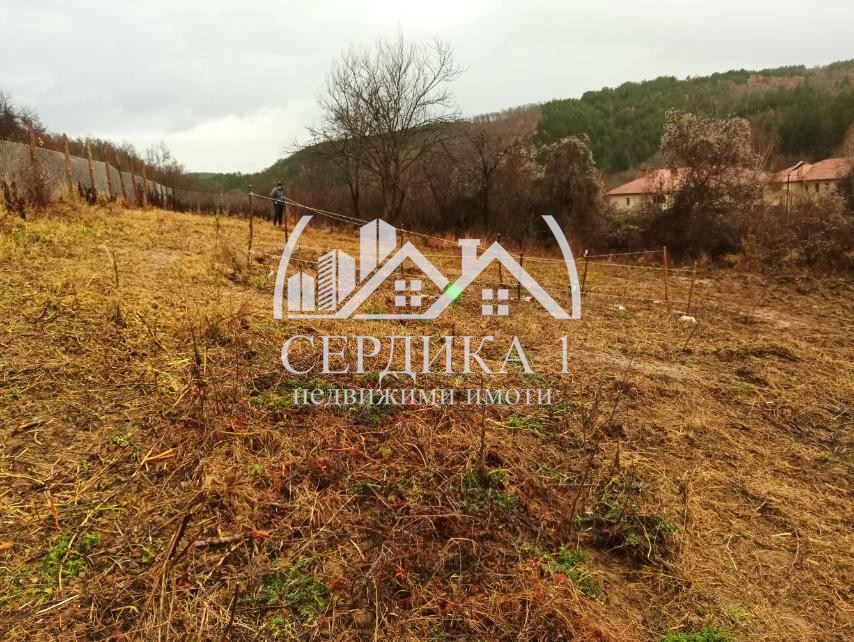 Продава се Парцел в с. Згурово, Област Кюстендил - 3799 кв.м за 12 €/кв.м - Снимка #2