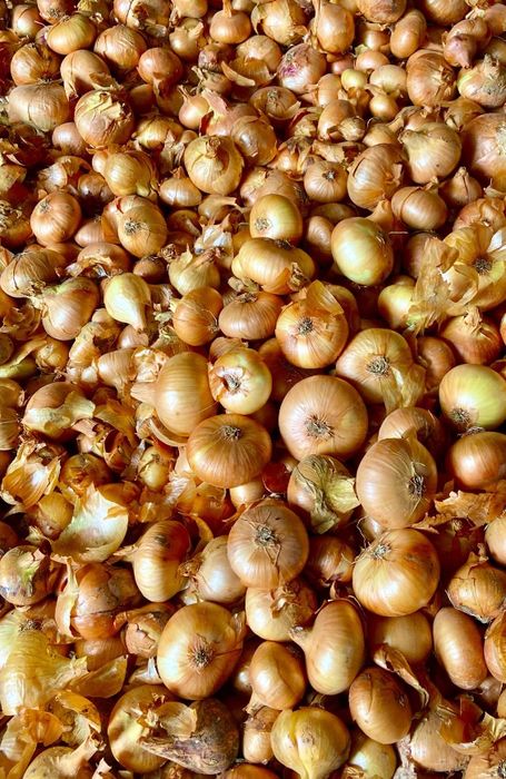 Vând ceapă plată (producator local)