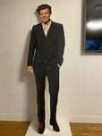 Harry Styles (mascota)