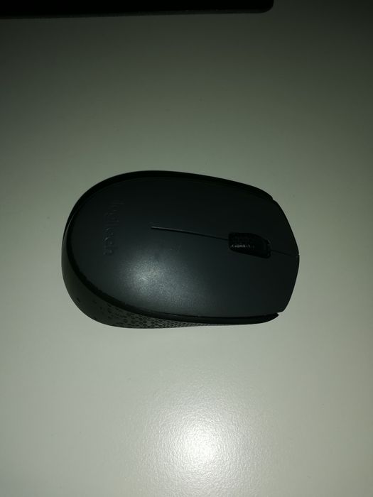 Mouse Logitech M170