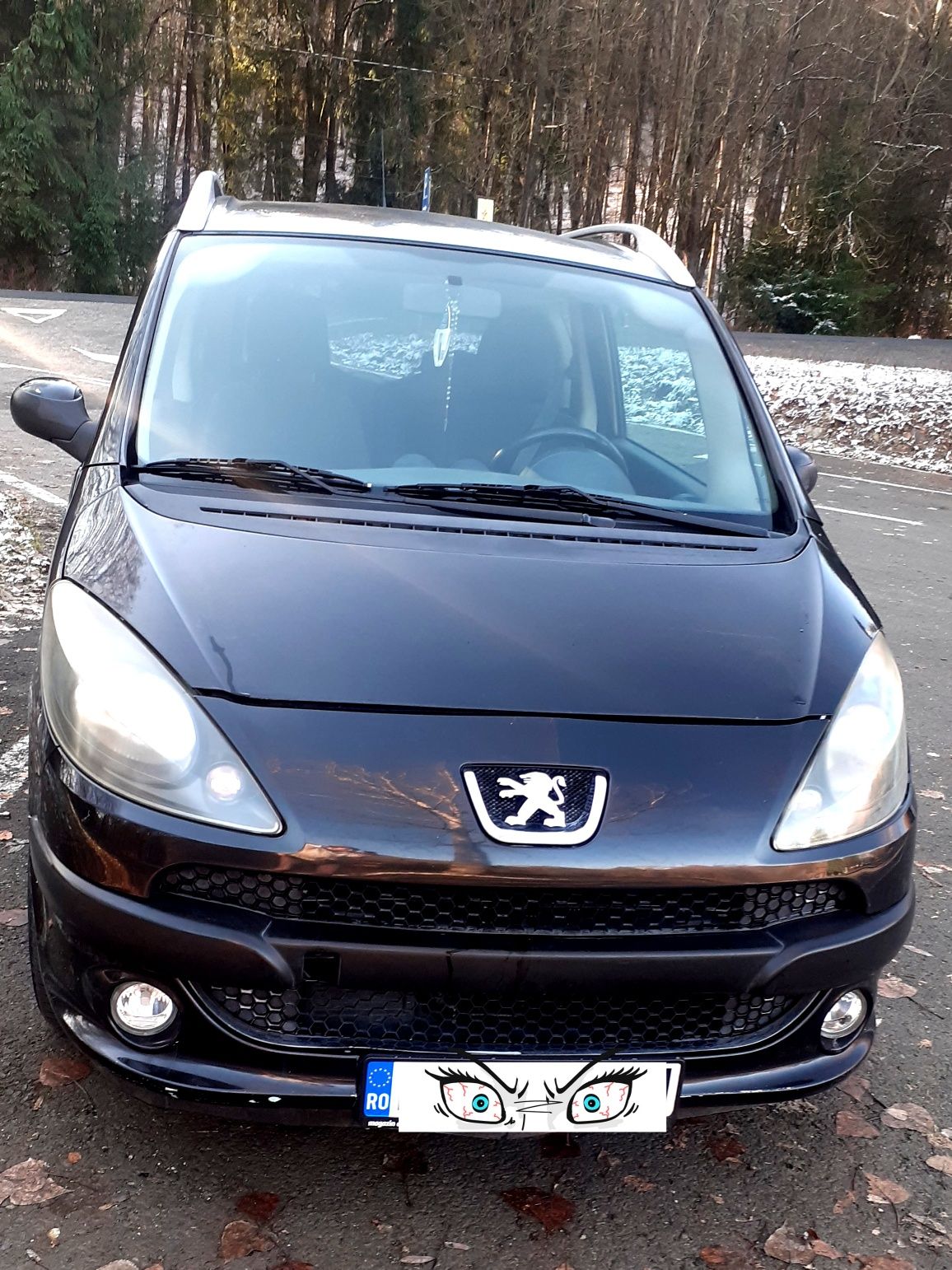 Peugeot 1007 1.4 hdi Euro 4