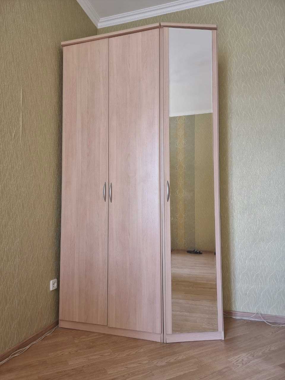Большой Одежный шкаф плательный, платяной 3 дверный, с зеркалом