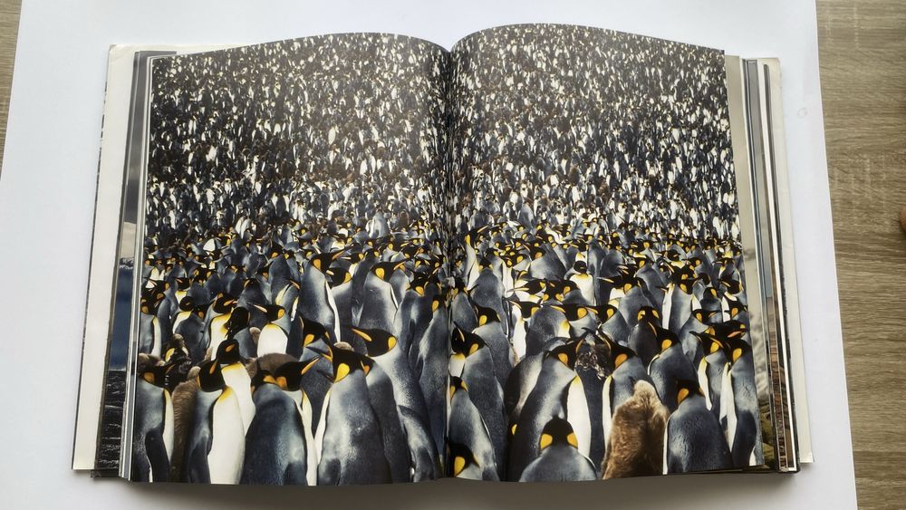 Carte WILD LAND cu natura spectaculoasa