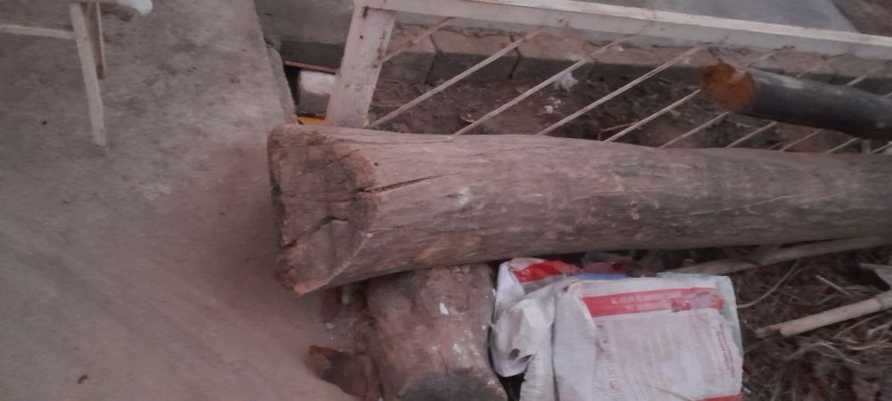 Katta ustun sotiladi va otin