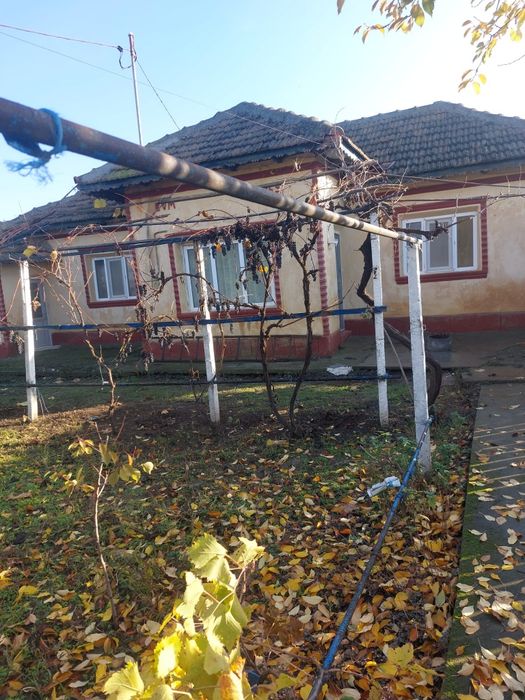 Vând casă în localitatea Dăeni judetul Tulcea