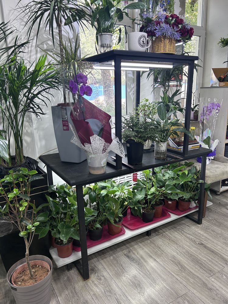 Продается полки с подсветкой