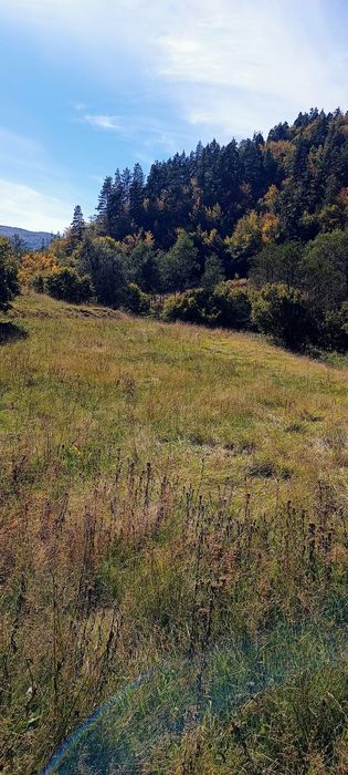 Продава се Земеделски имот в с. Сивино, Област Смолян -  кв.м за 1900 €/дка - Снимка #10