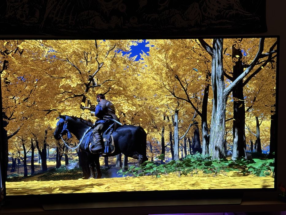 LG C2 48 Televizor OLED 48C21LA