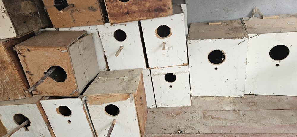 Дуплянки разные.