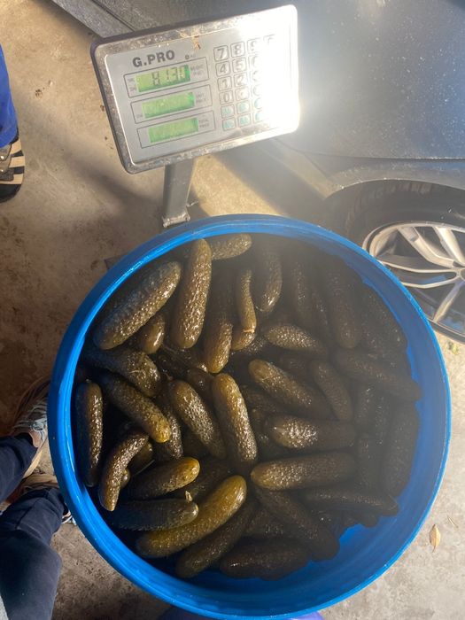 Vand castraveți murați