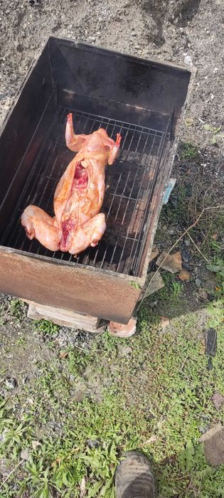 Мясо молочного кролика