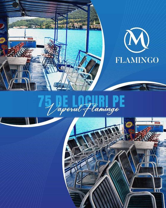 Ambarcatiune 75 Pasageri(Vapor)+Ponton Restaurant+Ponton Acostare