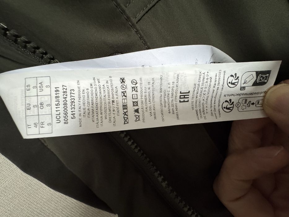 Jacheta  casmir “Falconeri”