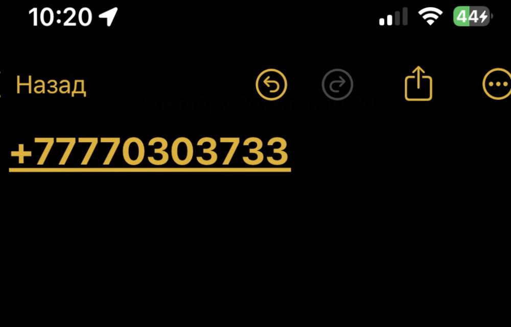 Билайн номер новый