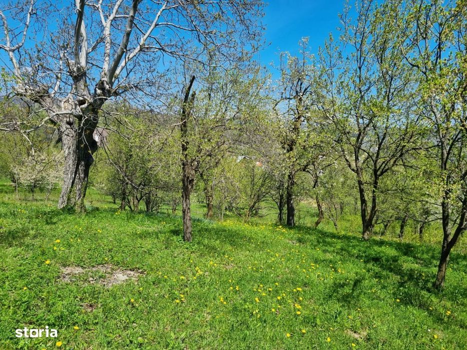 Teren intravilan Comarnic Ghiosesti-aproape moon village