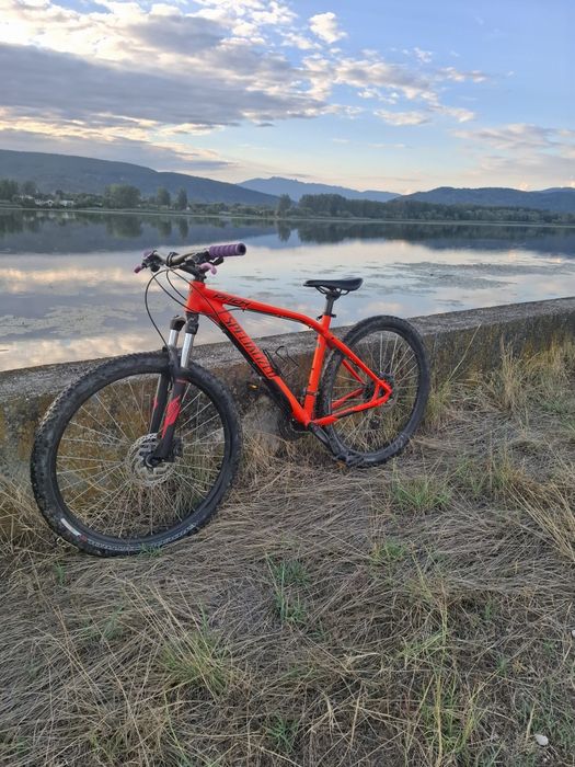 Vând pitch specialized
