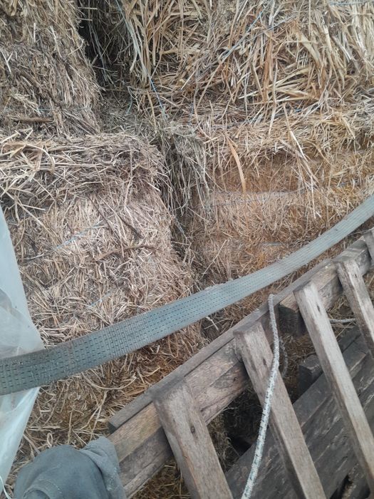 Baloții de vânzare