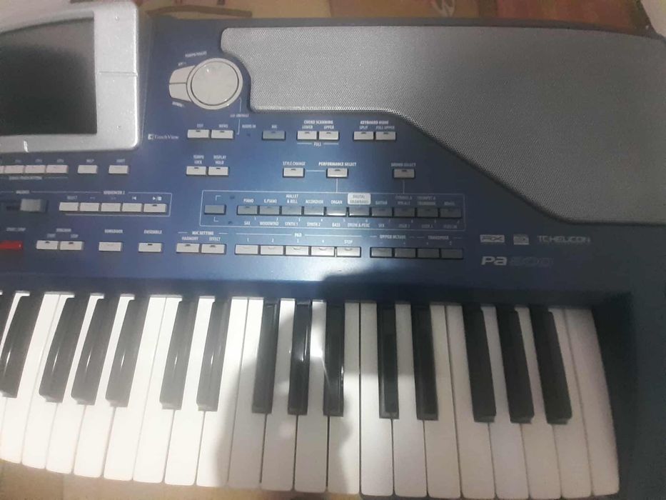 Korg Pa 800  рам 64 мб