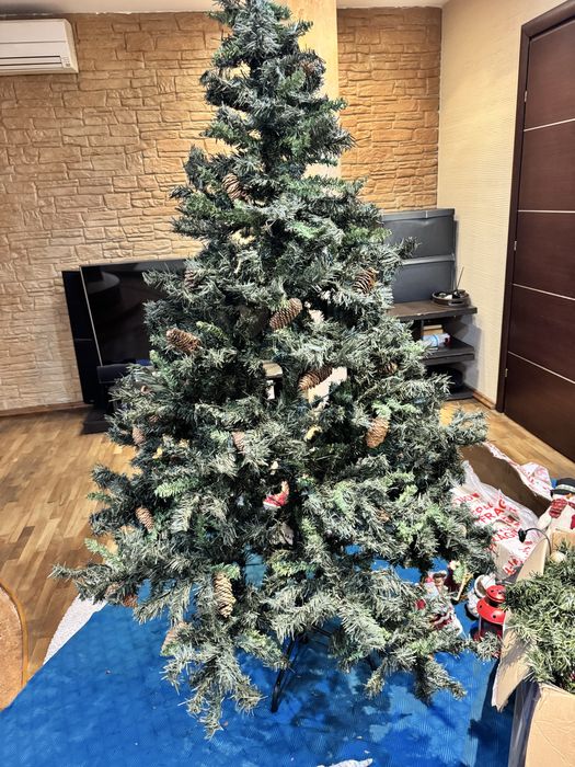 Елха с шишарки 210см.