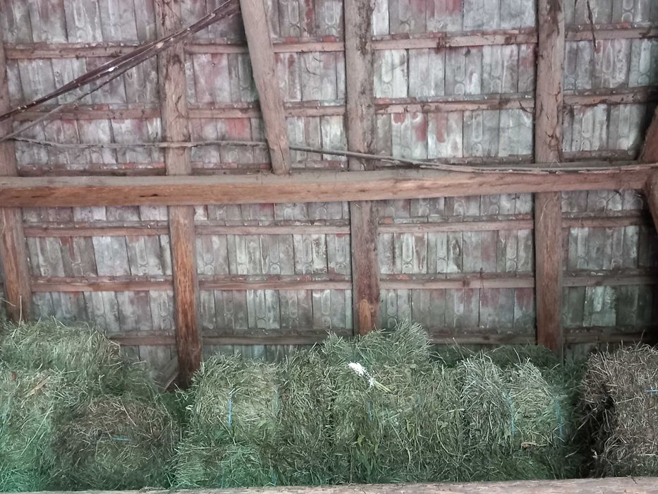 Baloți de otavă anul acesta