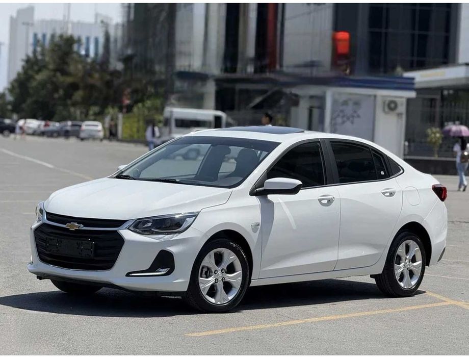 Onx Premier full options краска родная цена окончательно