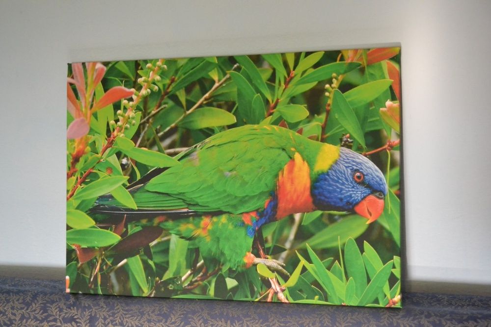 Tablouri canvas personalizate